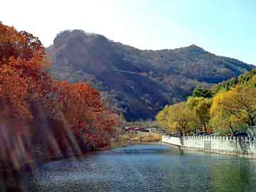 天天彩好彩天天免费，纵横都市